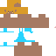 Texture for seta