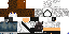 Texture for Domer