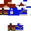 Texture for TEST2509