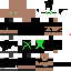Texture for PlZygarde64