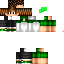 Texture for steve