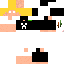 Texture for Rafael