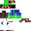 Texture for luigi