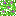 Texture for leave