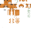 Texture for Ginger2