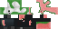 Texture for soartex z pig