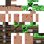 Texture for creeper