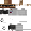 Texture for ds