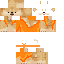 Texture for monk doge