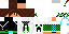 Texture for minecraft skin