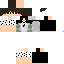 Texture for steve2
