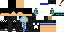 Texture for dash