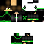 Texture for kivi23