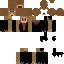 Texture for lion