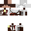 Texture for altair