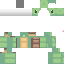 Texture for Turtle 