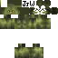 Texture for 1 Pose