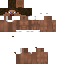 Texture for STEVE