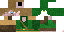 Texture for elf 2