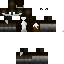 Texture for The Fox