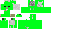 Texture for Verdão