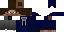 Texture for Steve