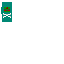 Texture for zombie shield
