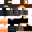 Texture for robin