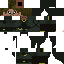 Texture for higgs1