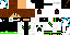 Texture for diego