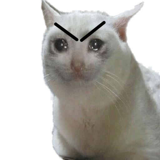 Texture for angry_sad_cat