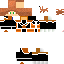 Texture for ginyu turtul
