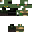 Texture for teemo
