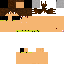 Texture for Picomino