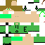 Texture for ElonLP