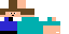 Texture for STEVE
