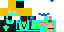 Texture for Zingo