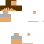Texture for joshua