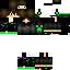 Texture for coco