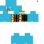 Texture for Steve