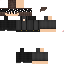 Texture for LuppyHg