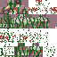 Texture for Decomposing Forest Corpse w  Mushrooms