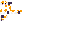 Texture for Kawaii Hamster!