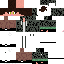 Texture for YeşilShulker