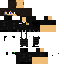 Texture for Security Guard