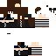 Texture for Dinamica_s2