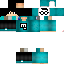 Texture for cadu nerd
