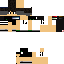 Texture for Vinh