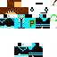 Texture for Aciar