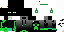 Texture for ender555